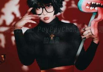 随性而来的家庭主妇武藏：PuyPuyChan的私房精选，难以抵抗的温柔