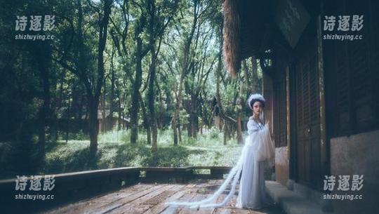 好H好女杀手 微密圈 - 美腿写真合集,竟然是由好H好女杀手来演绎!我咋没想到!
